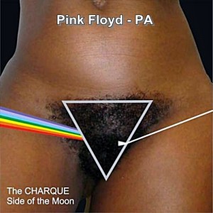The CHARQUE Side of the Moon
