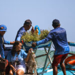 Projeto documental Enquanto Houver Maré mergulha na memória da pesca artesanal junto a juventudes ...